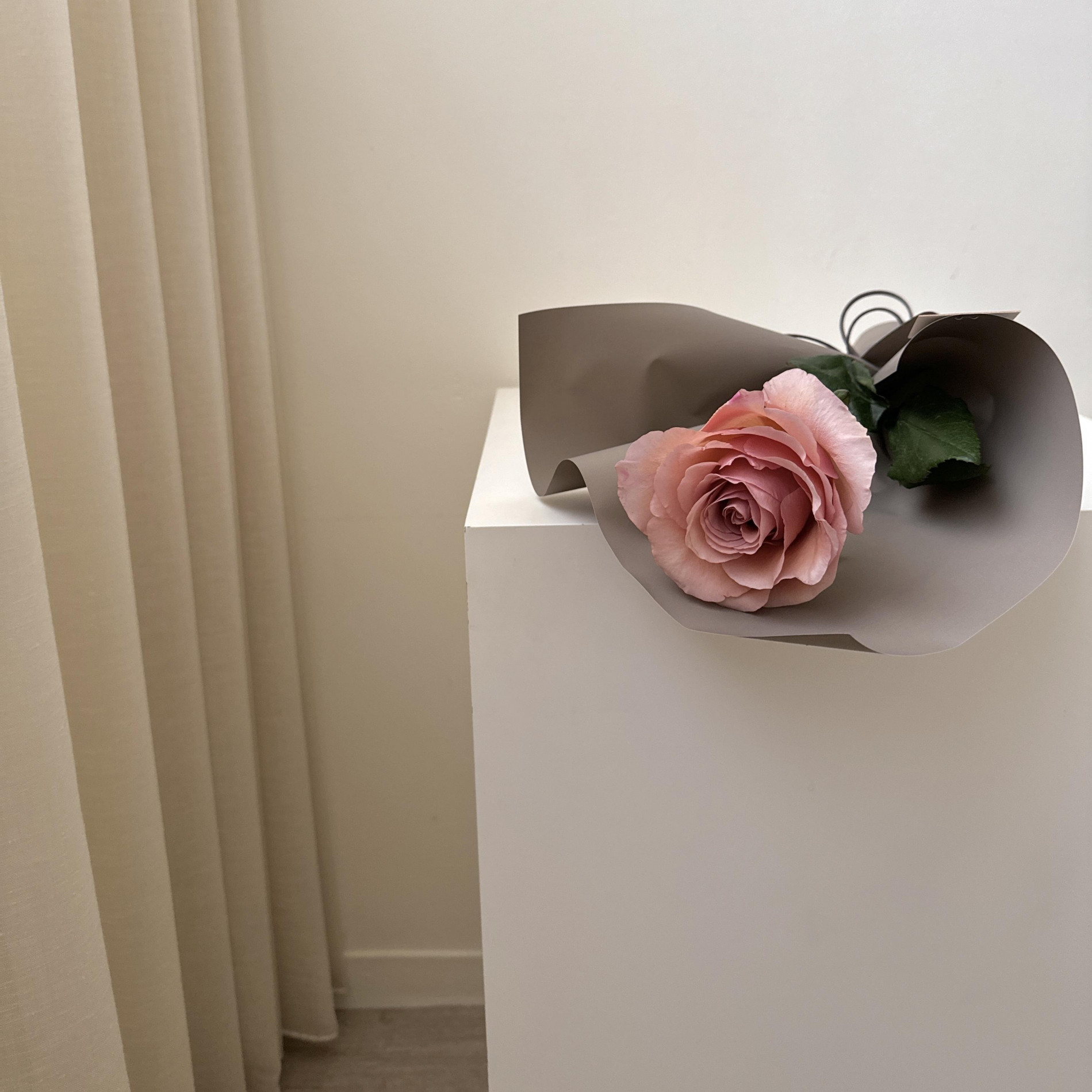 單支摩卡玫瑰花束 3