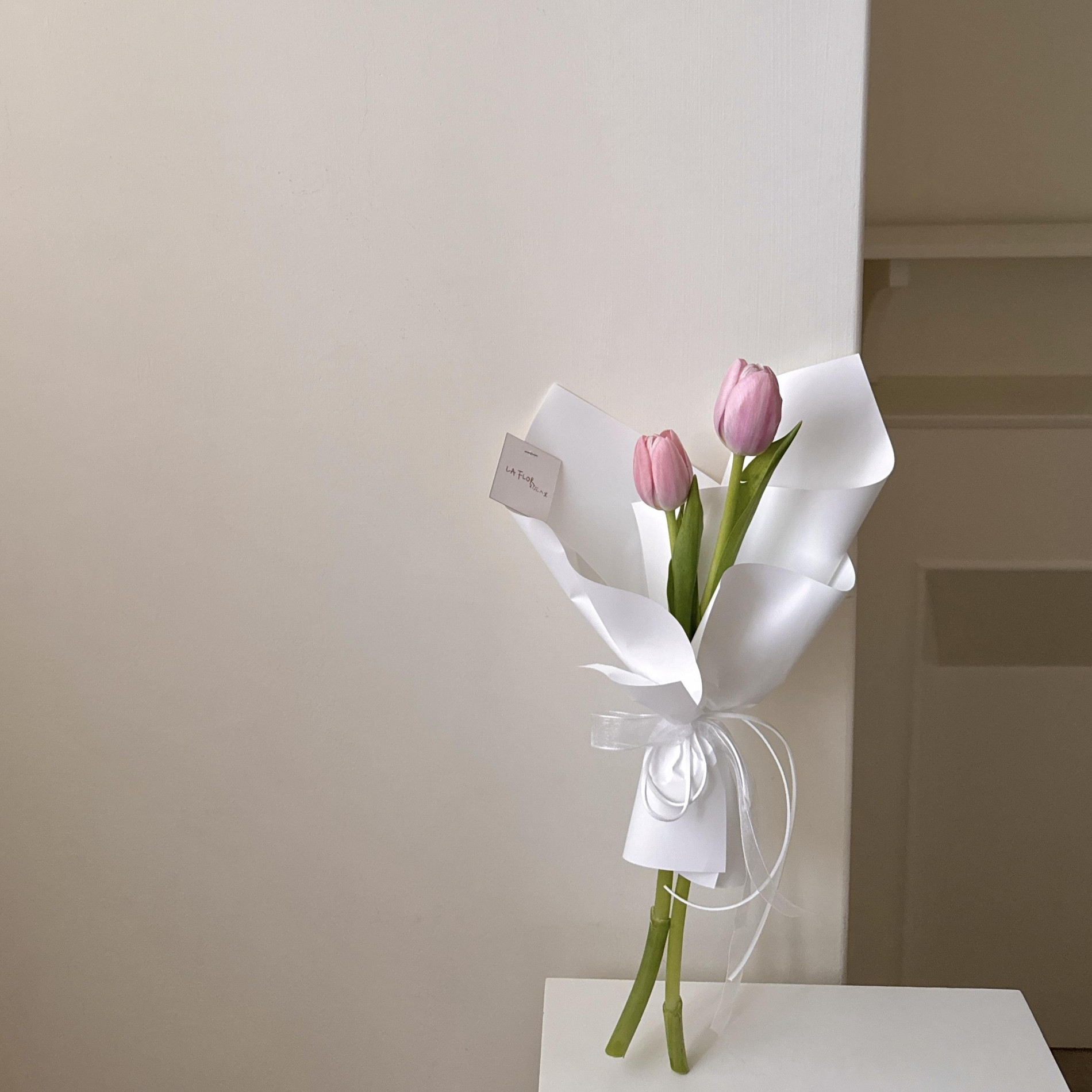 各色系雙朵鬱金香 3