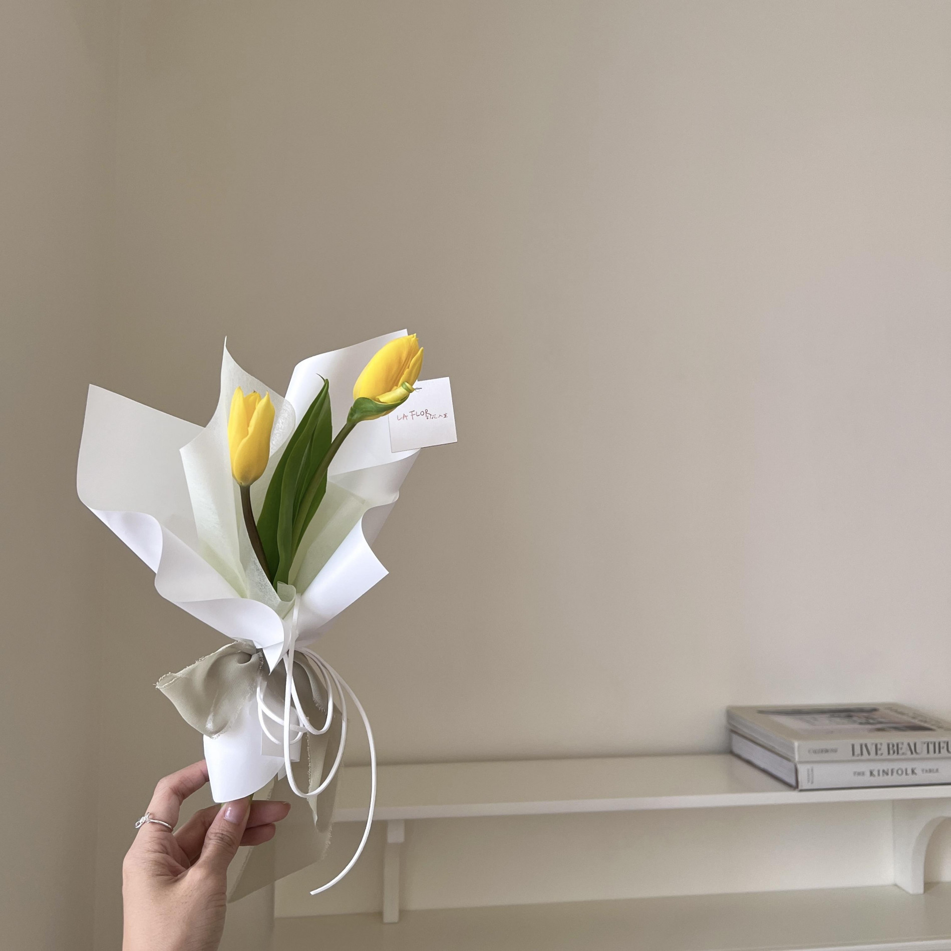 各色系雙朵鬱金香 4