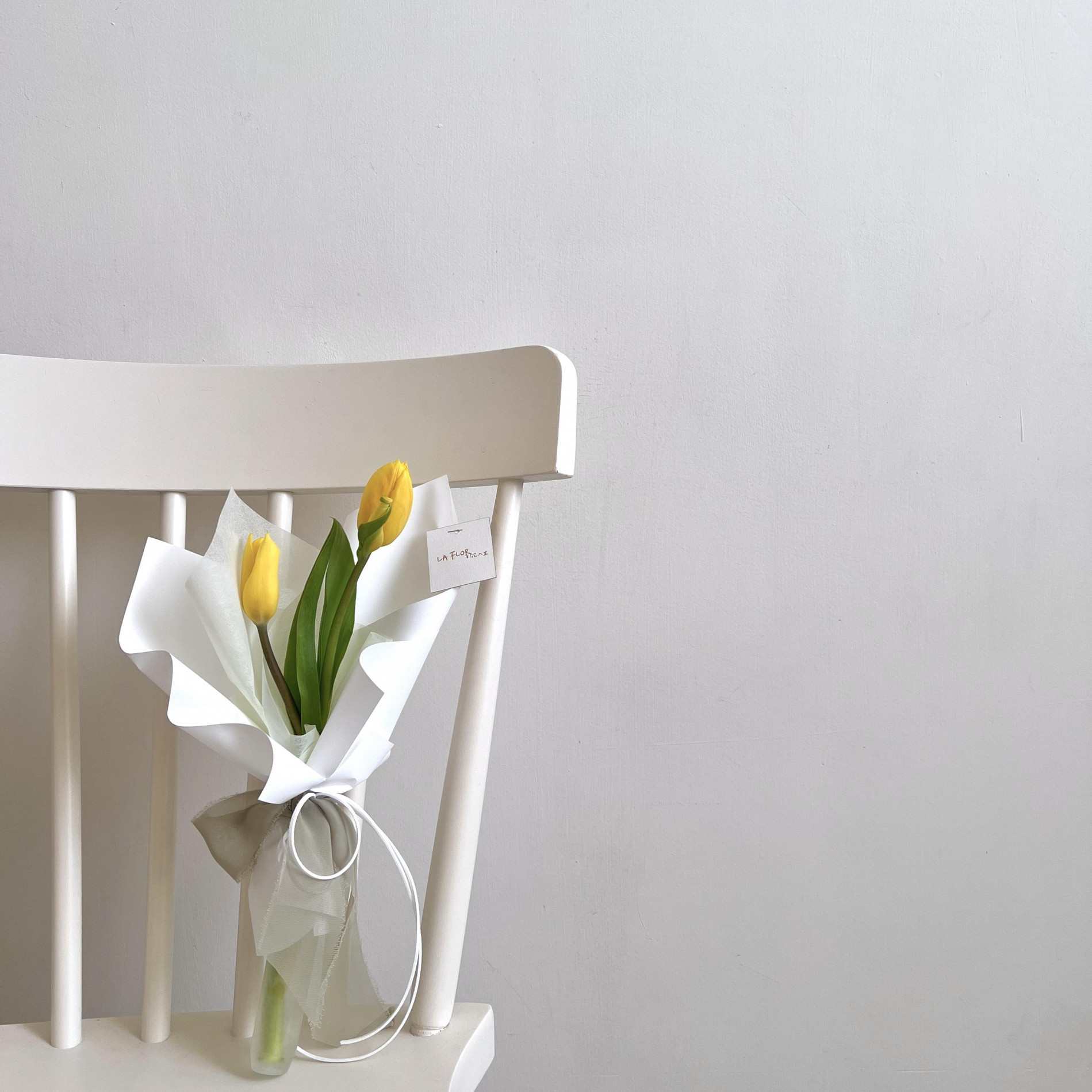 各色系雙朵鬱金香 5