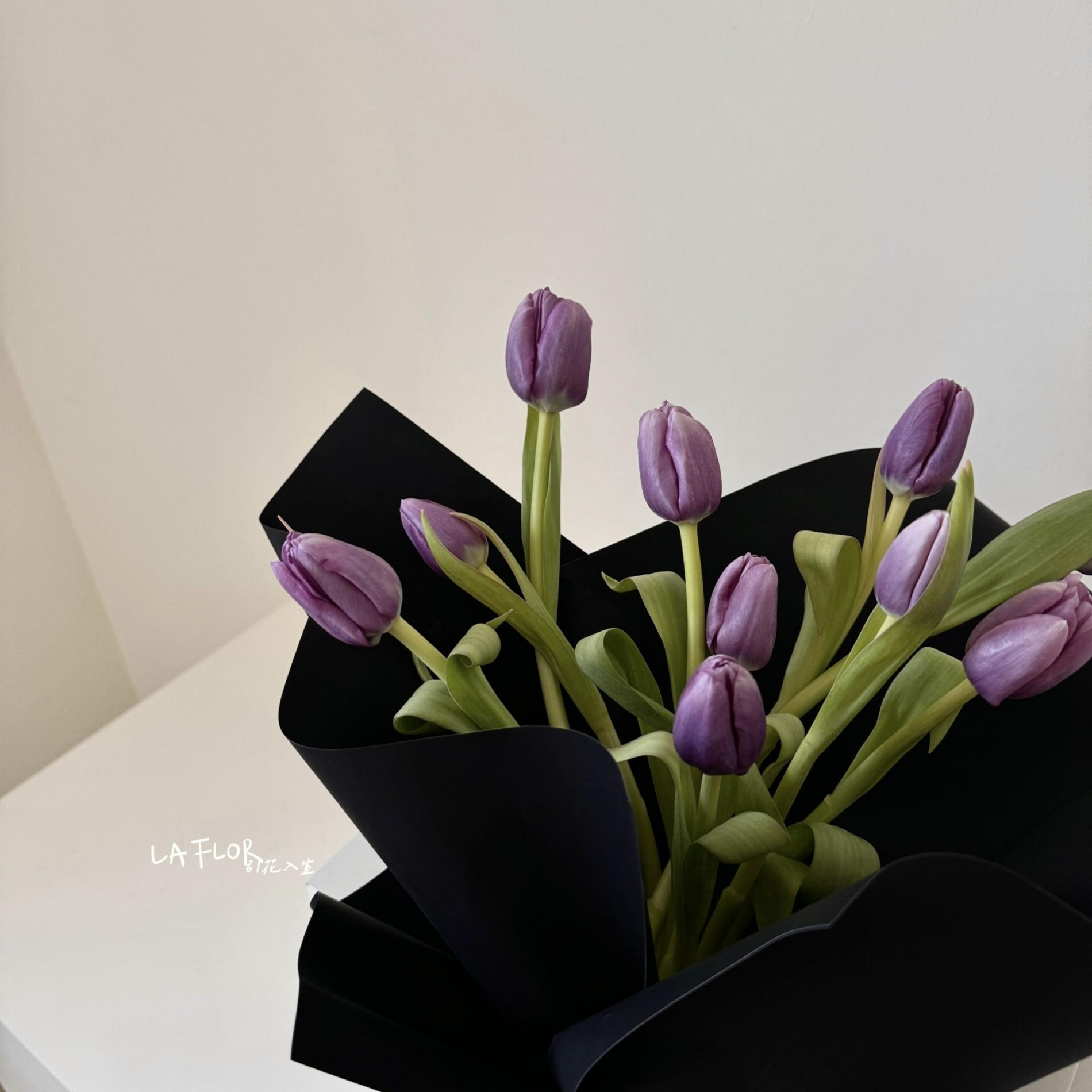 季節限定 復古紫色系 M 2