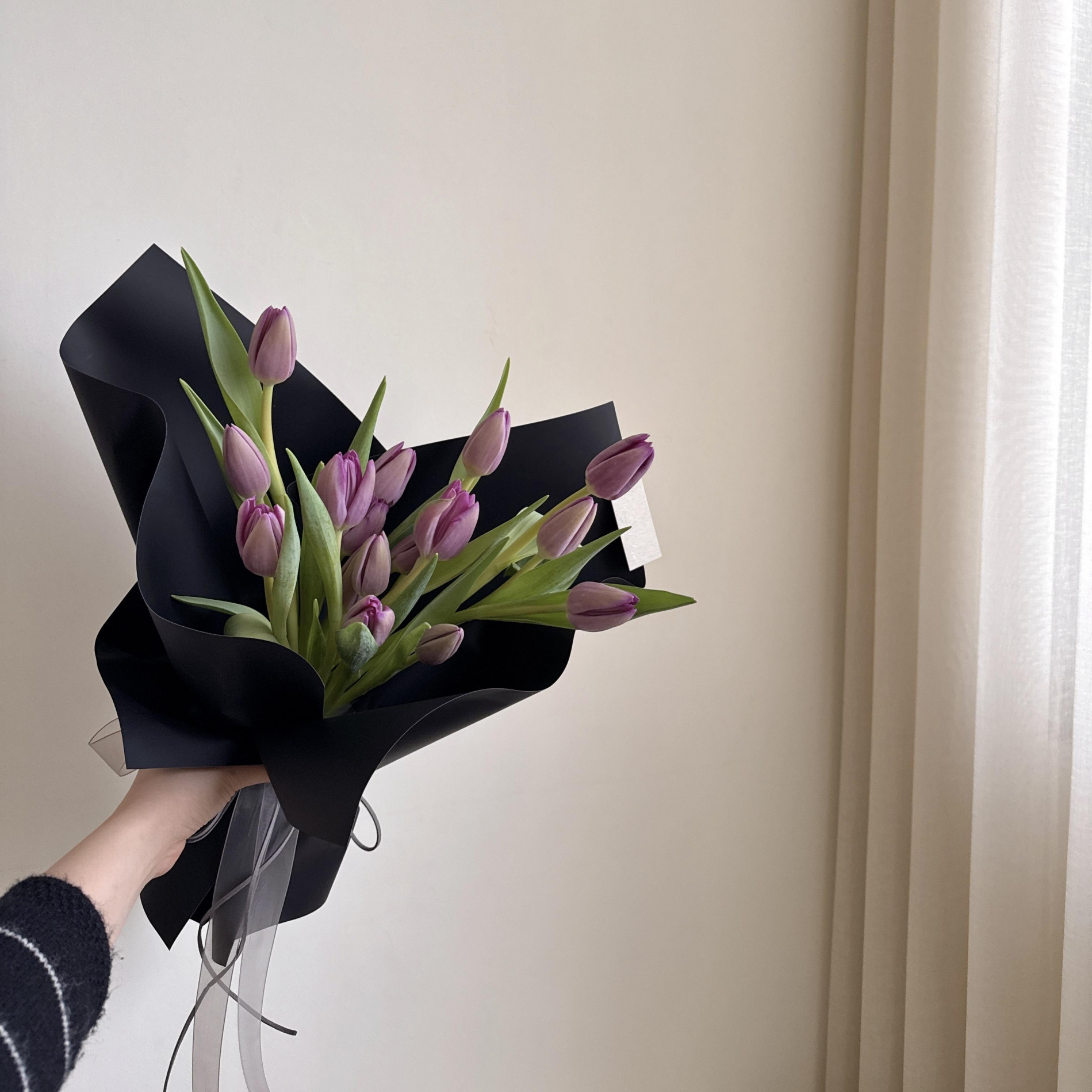 季節限定 復古紫色系 M 5