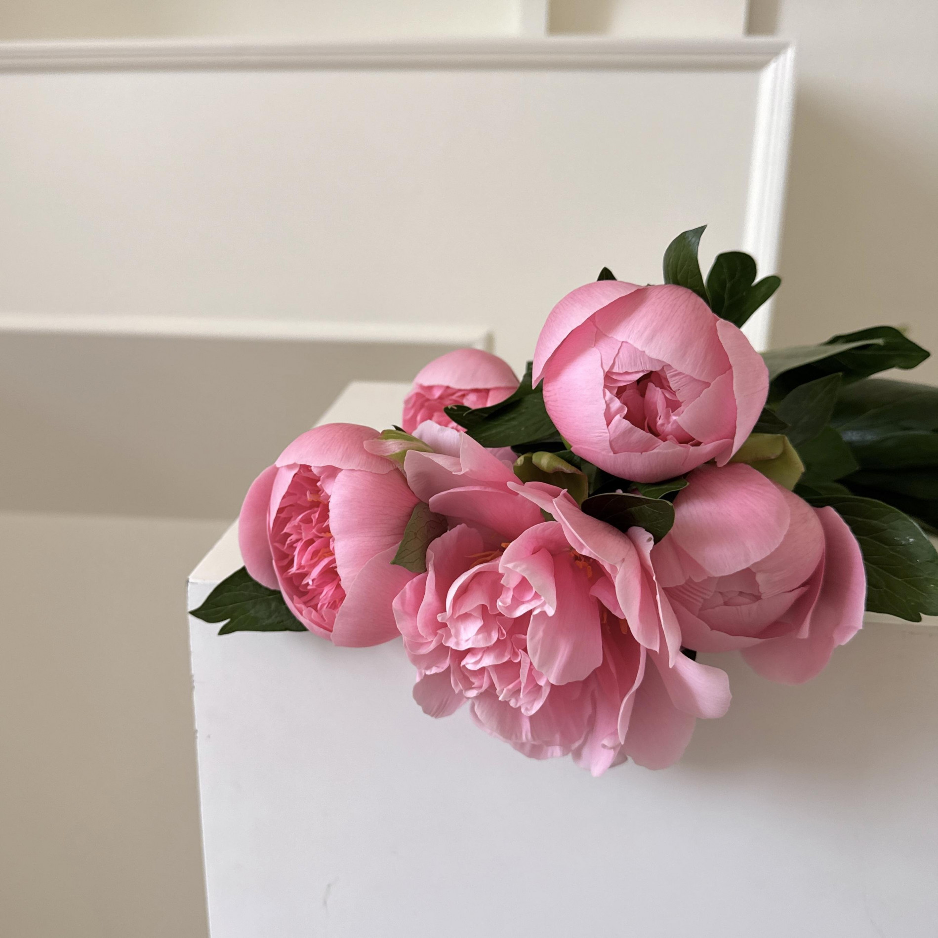 單支芍藥花束 2