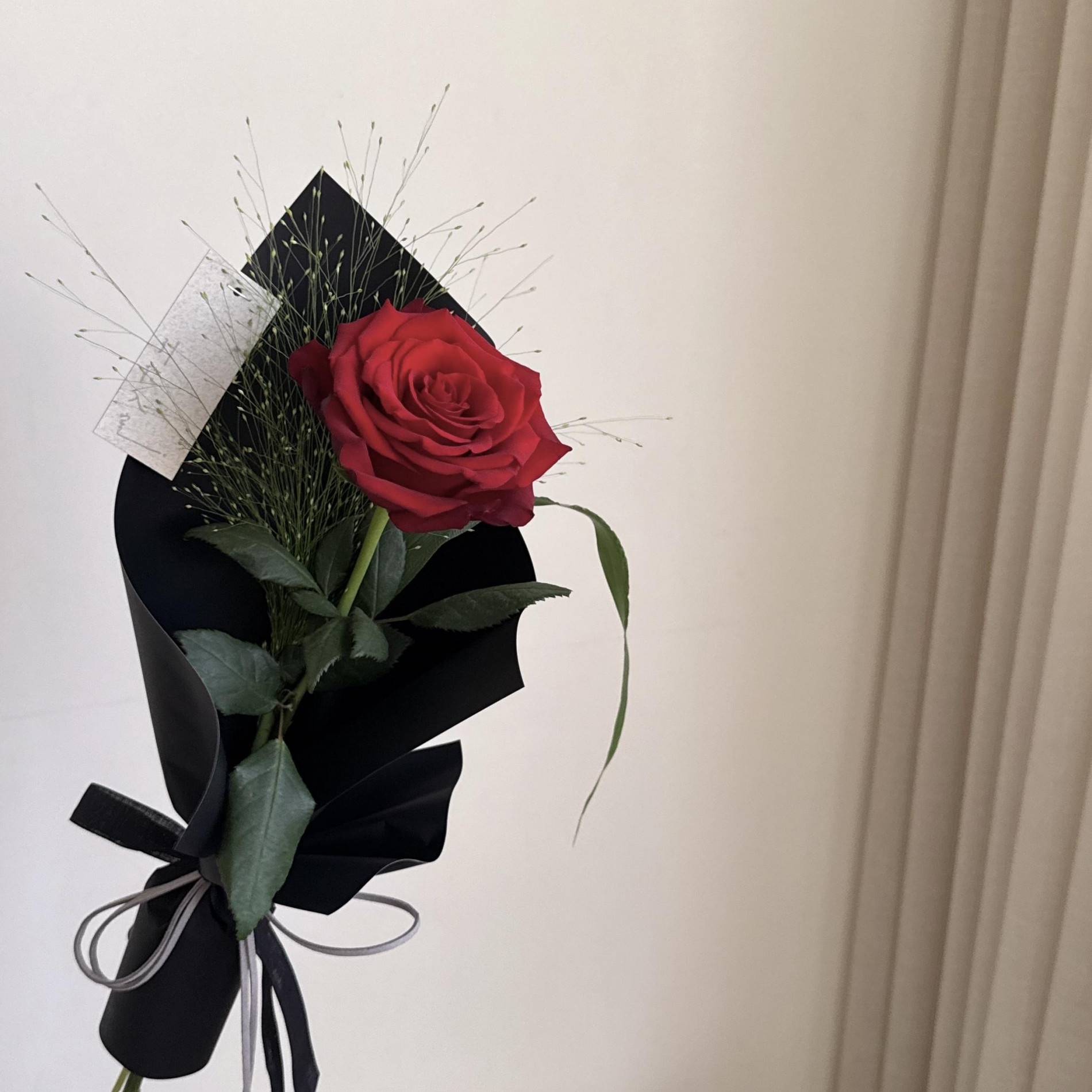 韓式單支紅玫瑰花束 3色 6